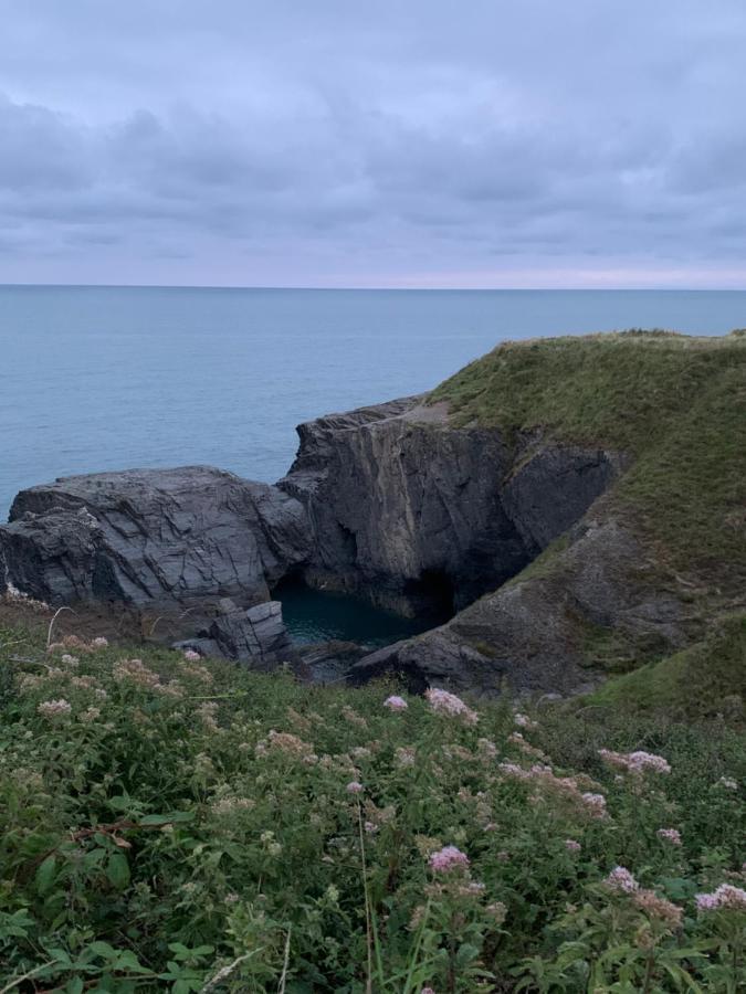 Holiday home Wild Coastal Retreat At Troed Y Rhiw Aberporth, West Wales