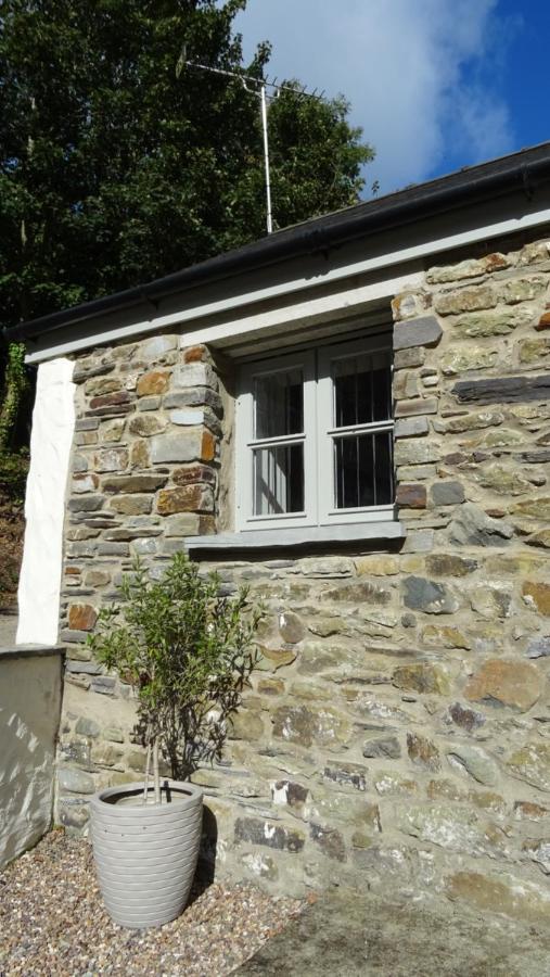 Wild Coastal Retreat At Troed Y Rhiw Aberporth, West Wales Holiday home Aberporth