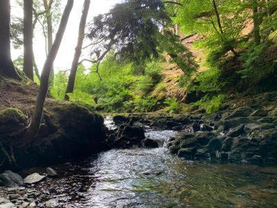 Wild Coastal Retreat At Troed Y Rhiw Aberporth, West Wales Aberporth