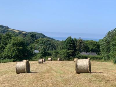 Wild Coastal Retreat At Troed Y Rhiw Aberporth, West Wales
