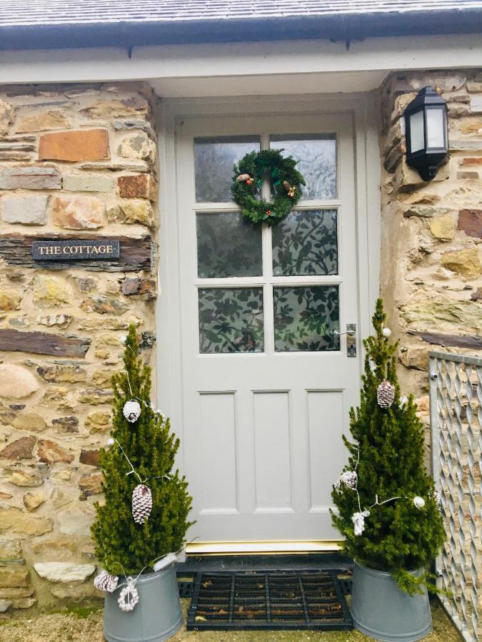 Wild Coastal Retreat At Troed Y Rhiw Aberporth, West Wales Holiday home *