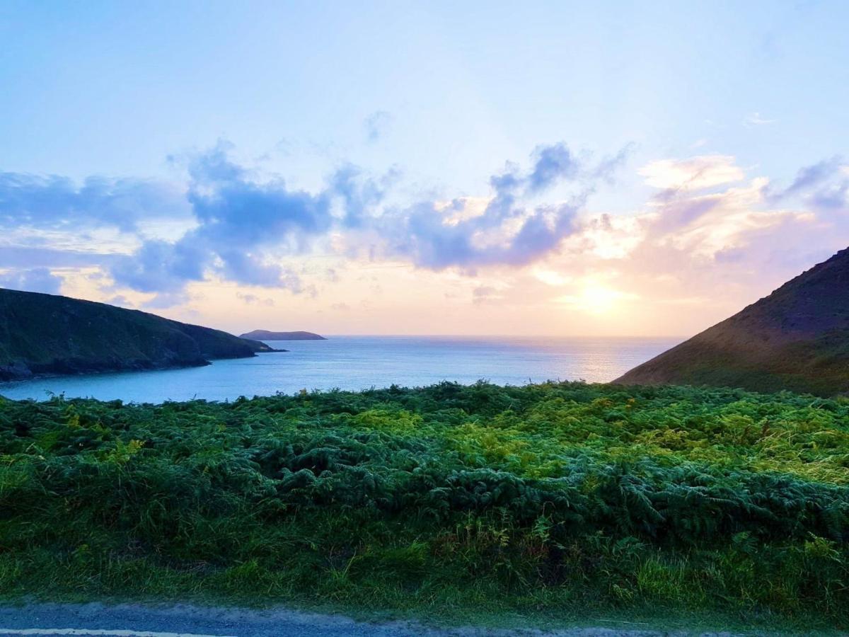 Wild Coastal Retreat At Troed Y Rhiw Aberporth, West Wales Holiday home *