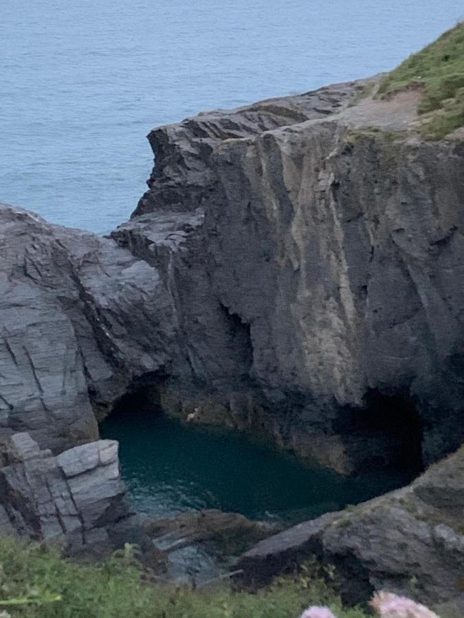 Сasa de vacaciones Wild Coastal Retreat At Troed Y Rhiw Aberporth, West Wales *