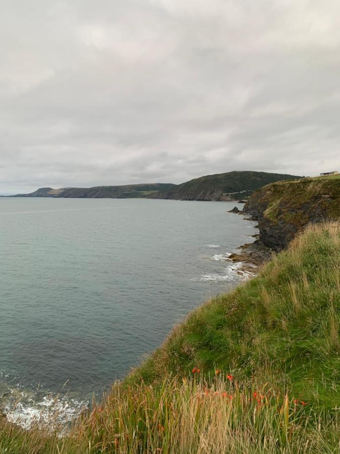Сasa de vacaciones Wild Coastal Retreat At Troed Y Rhiw Aberporth, West Wales *